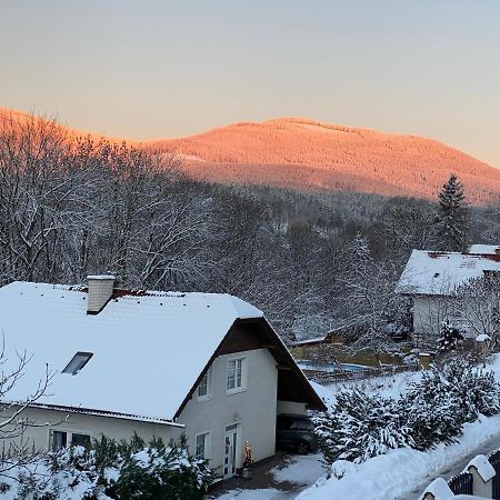 Apartman Pod Lesem Svoboda nad Úpou Exterior foto